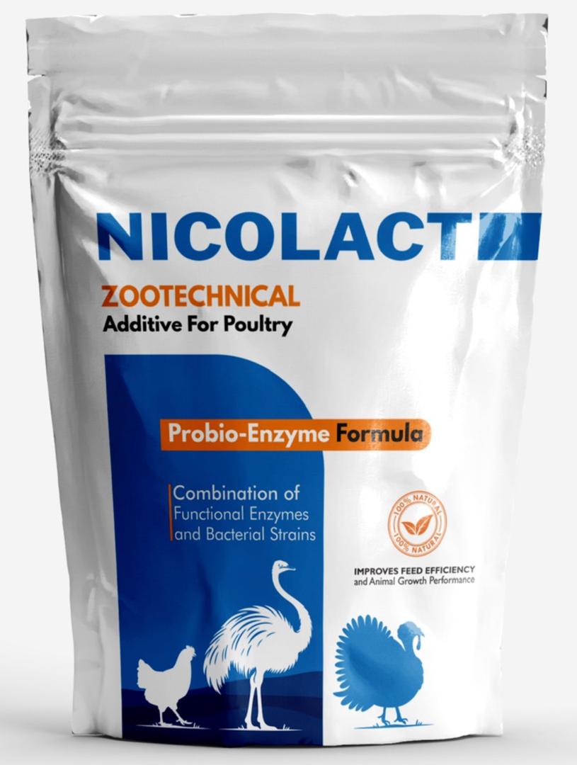 NICOLACT Probio-Enzyme Vorderseite